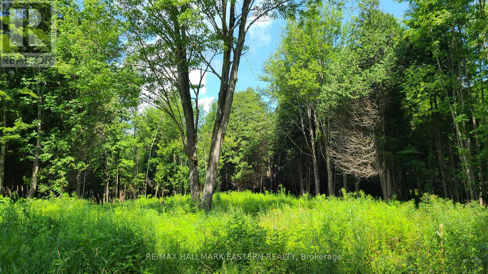 Photo de la propriété:  N/A Keating Road North  ON K0L 1Z0 