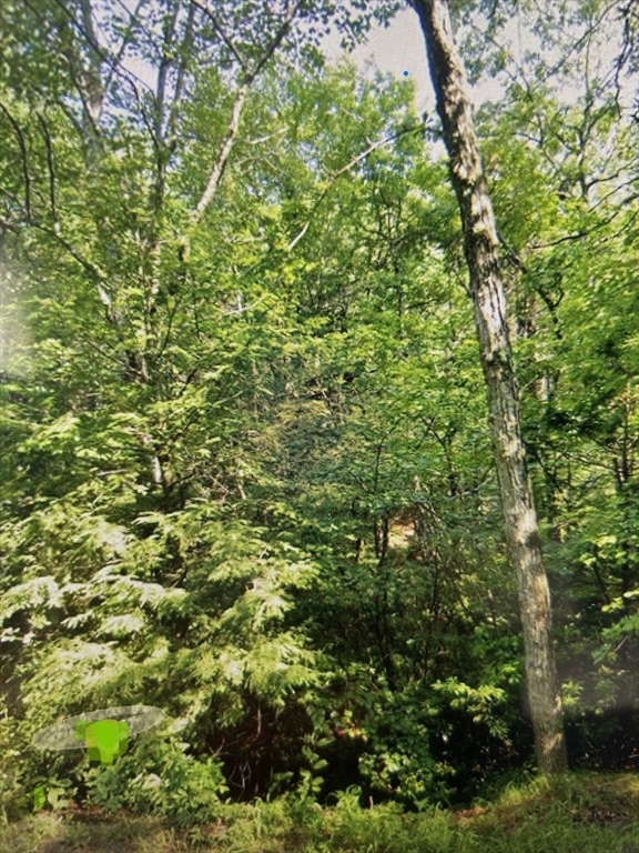 Property Photo:  335 Lot 2 SW Main St  MA 01516 