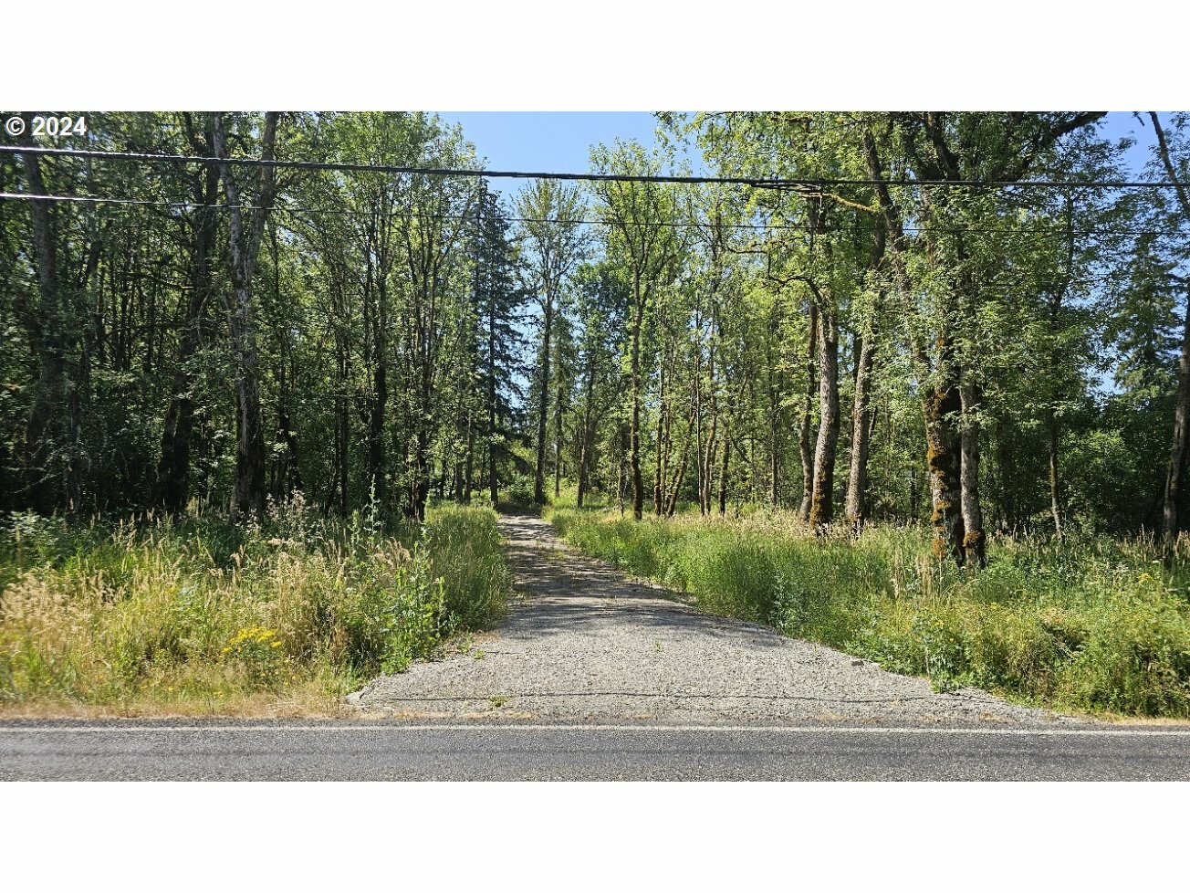 Property Photo:  NE 199th St  WA 98642 