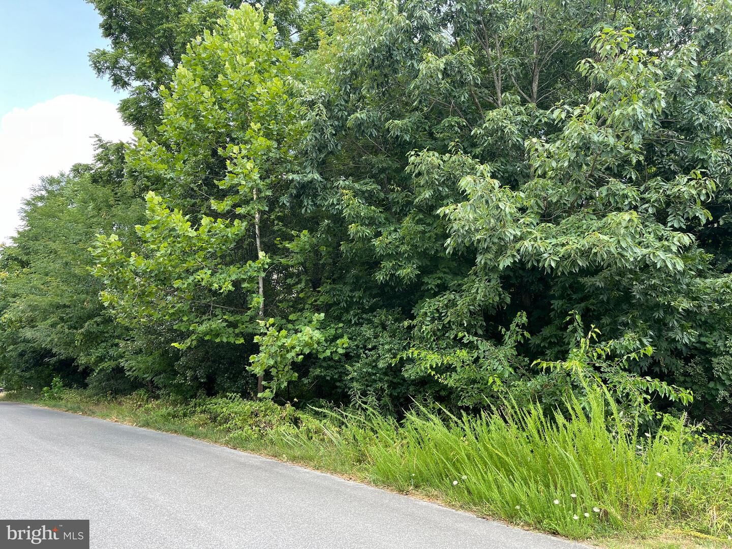 Property Photo: Sierra WV 25403