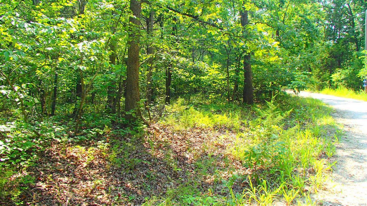 Property Photo:  1 Watts Ridge Drive  MO 63072 