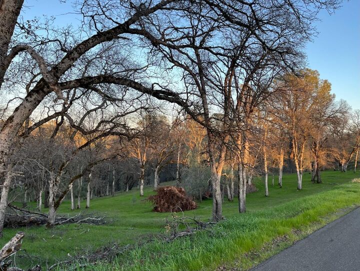 Property Photo: 23045 Moon Ridge Court CA 95602