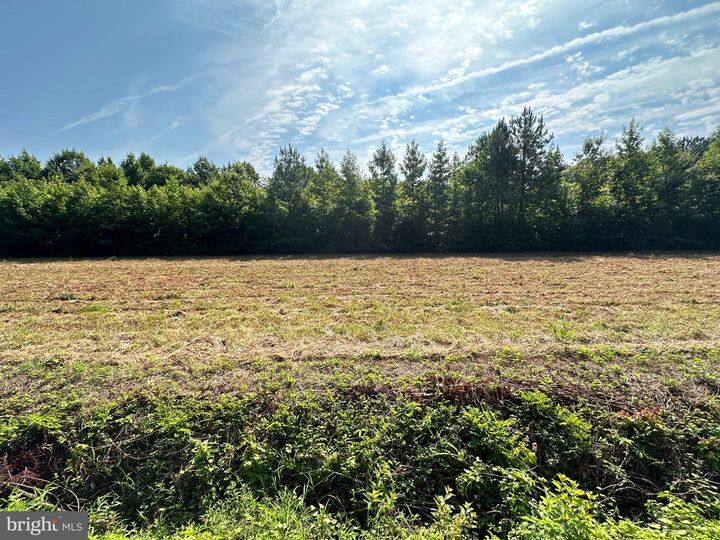 Property Photo:  0 Whites Road  MD 21838 