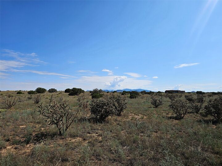 Property Photo: 251 Spur Ranch Road NM 87540