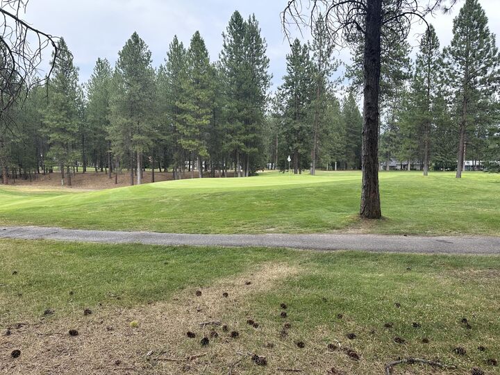 607/613 Hogans Way  Chewelah WA 99109 photo