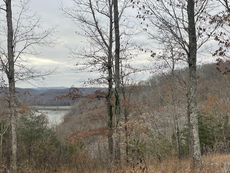 Property Photo:  Lot 35 Sandstone Point  KY 42633 