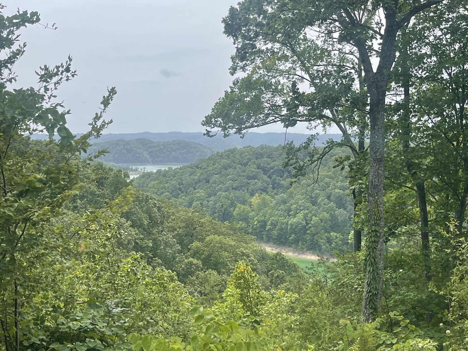Property Photo: Lot 35 Sandstone Point KY 42633