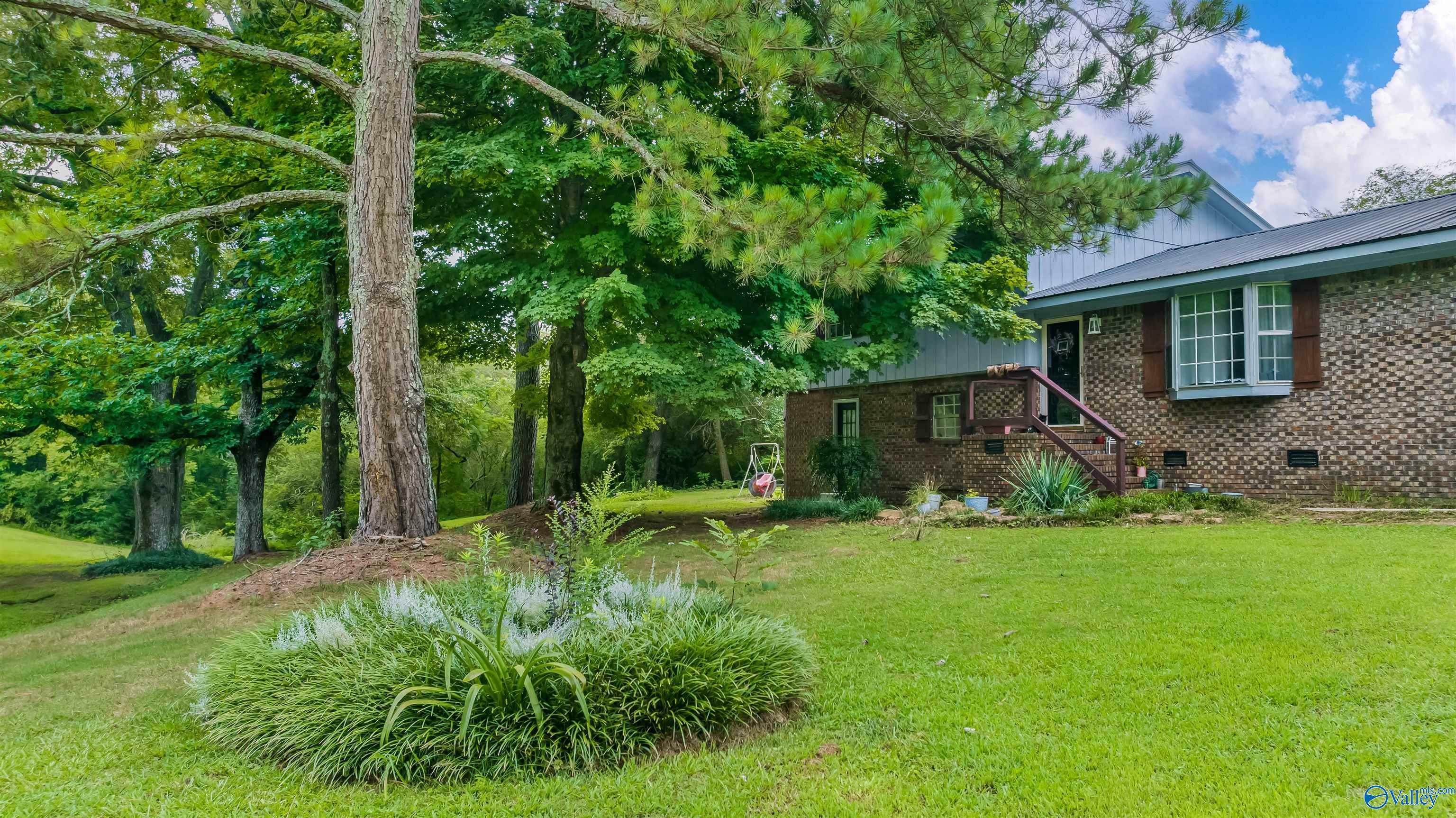 Property Photo:  1003 Hammonds Road  AL 35971 