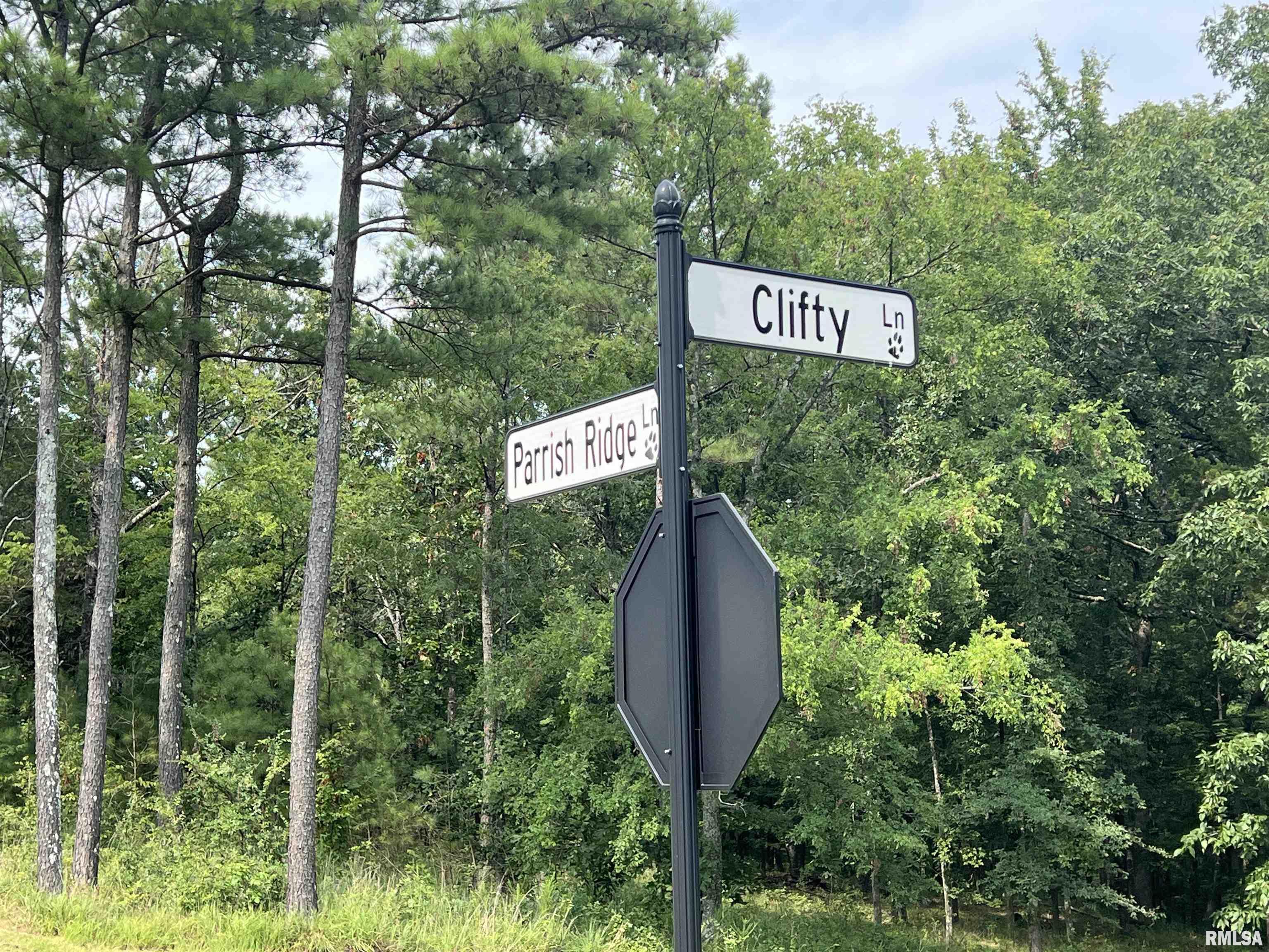 Property Photo: Lot 333 Clifty Lane IL 62939