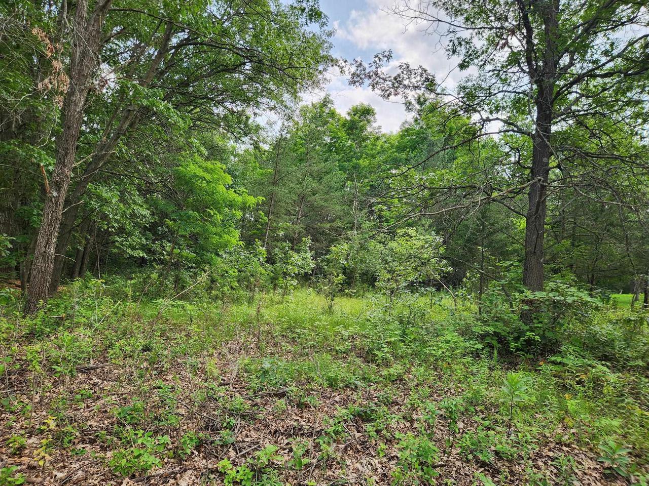 Property Photo:  1.5 Ac Prairie View Lane  WI 53948 