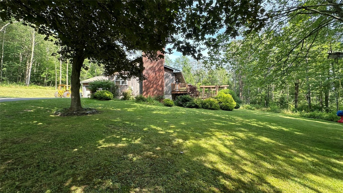 Property Photo:  236 Butternut Road  NY 13849 