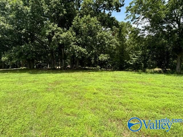 Tract 2 Apple Grove Road  Baileyton AL 35019 photo