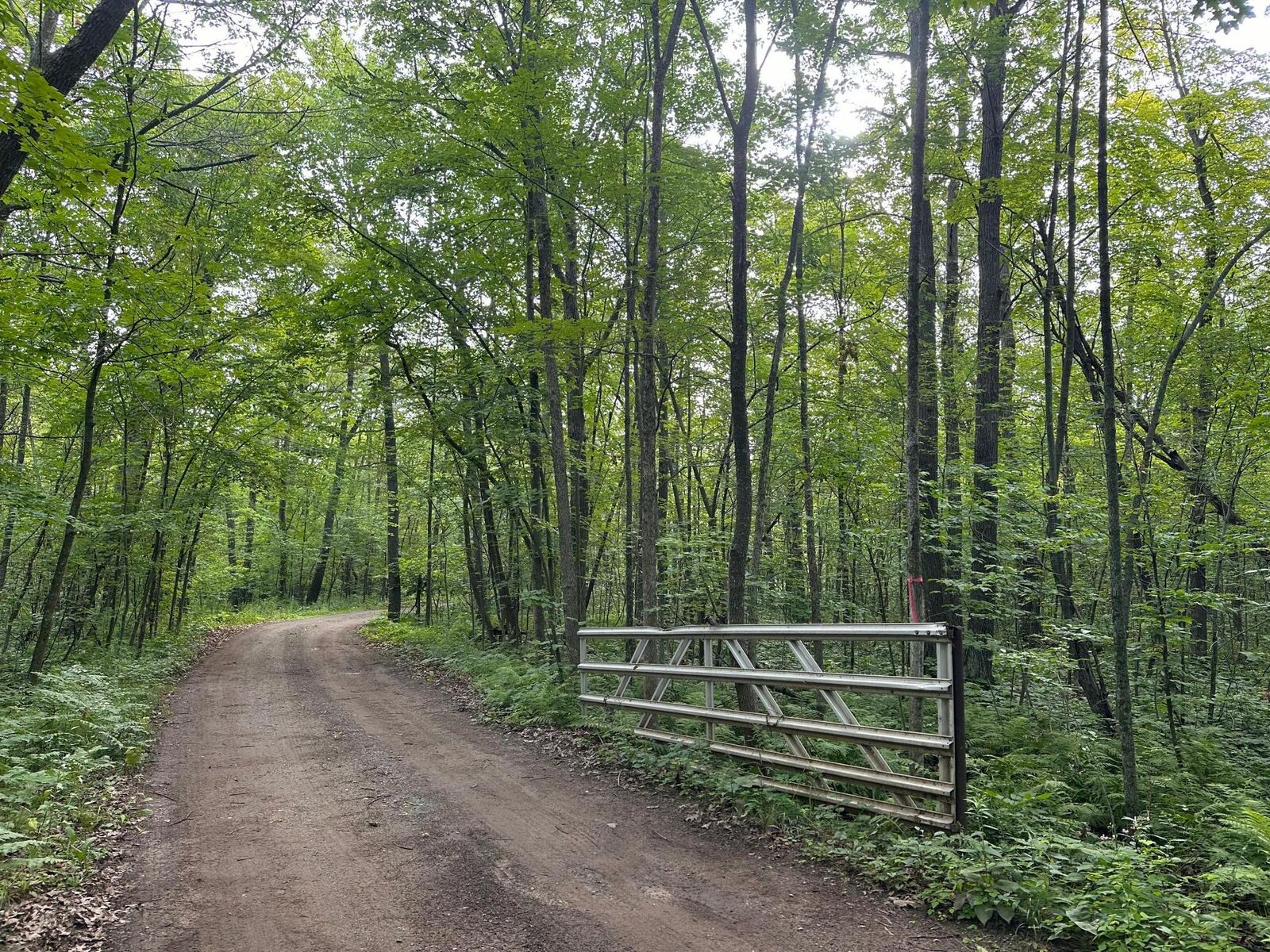 Property Photo:  Xxx Wilson Lake Drive  MN 56444 