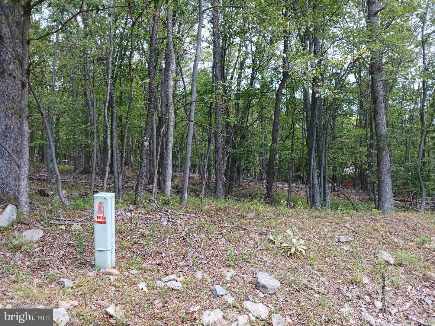 Property Photo:  Lot 11 Pendragon Court  WV 25434 