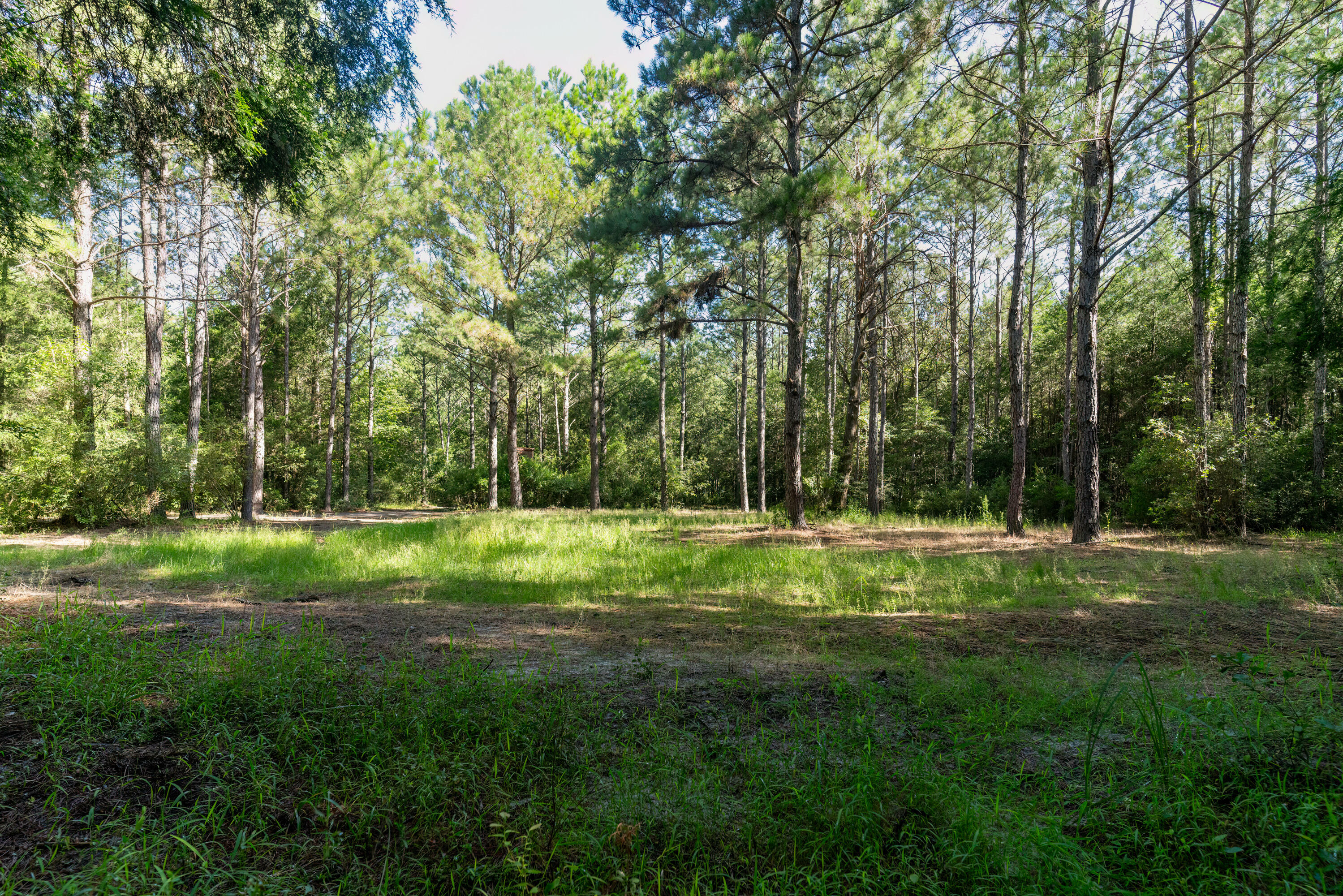 Property Photo:  7011 Eadie Cotton Road  FL 32531 