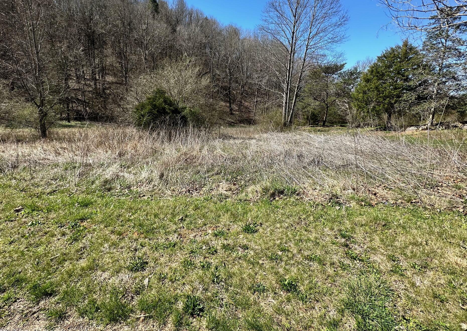 Property Photo:  Lot 20 Perilla Rd Road  TN 37722 