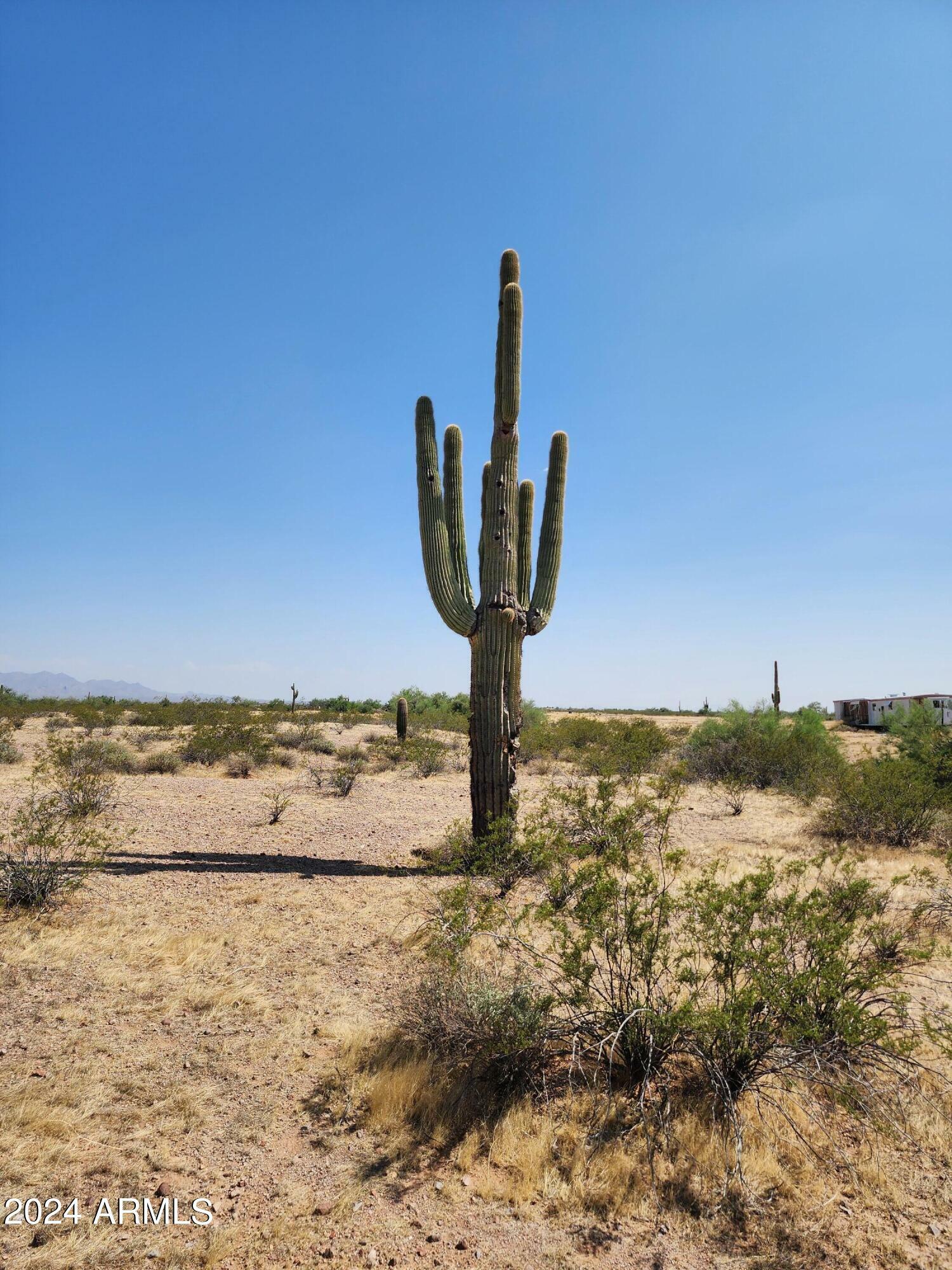 Property Photo:  000 W Dove Valley Road 132  AZ 85361 