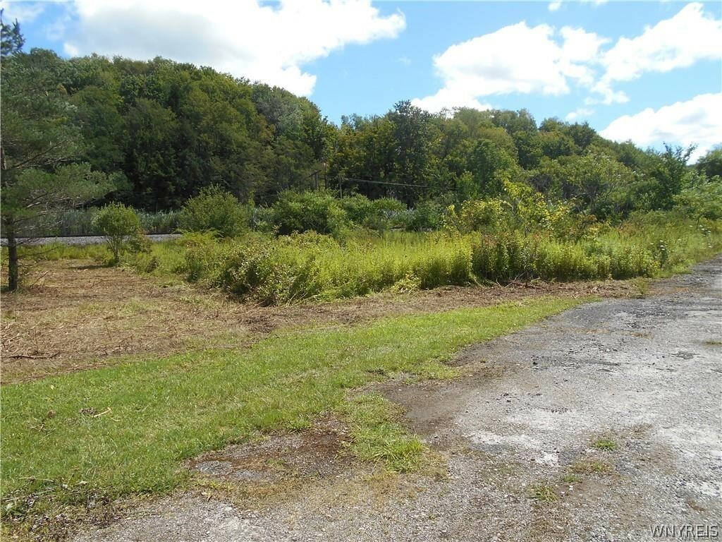 Property Photo:  10628 Route 16  NY 14042 