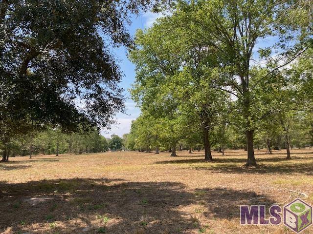 Property Photo: 14169 A Poirrier Rd LA 70737