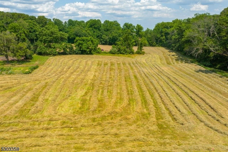 Property Photo:  489 Sergeantsville Rd  NJ 08822 