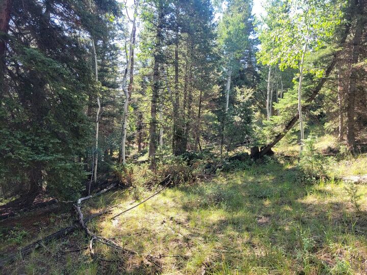 Property Photo:  Lot 26 Sequoia Dr  UT 84762