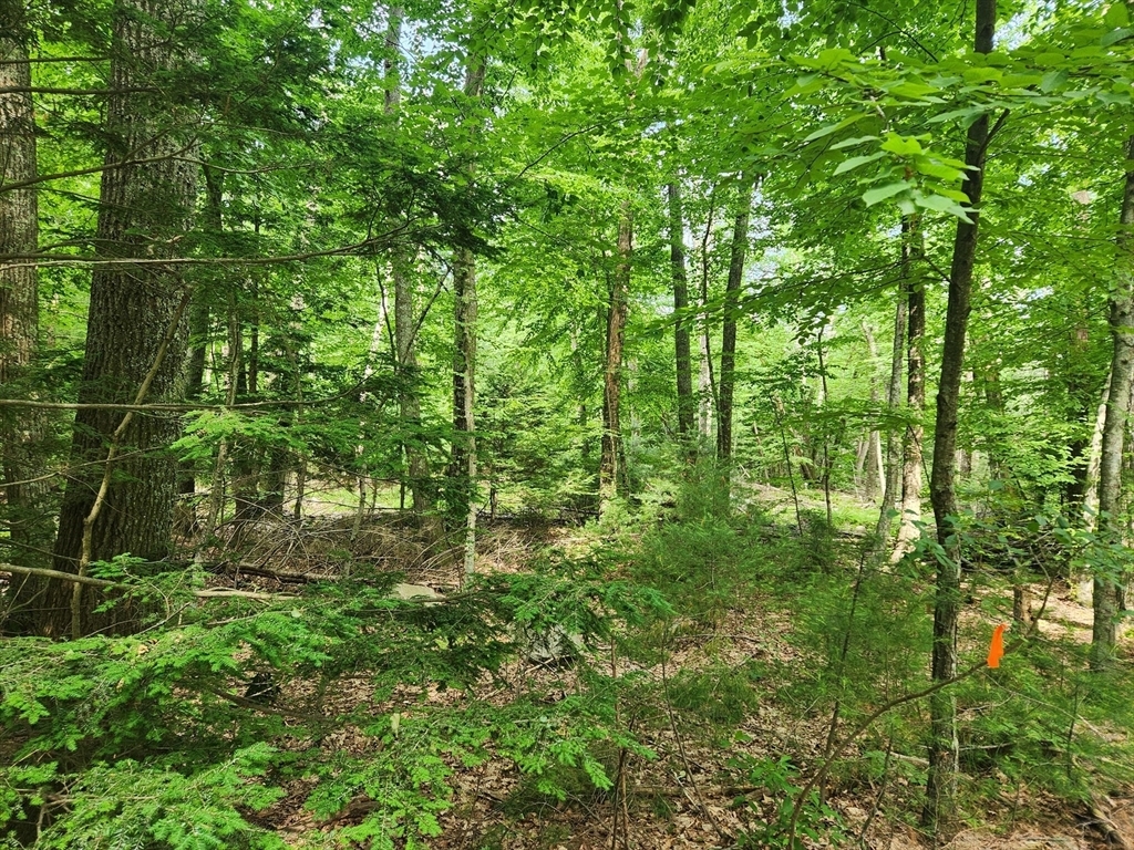 Property Photo:  Lot 4 Greenwood Street  MA 01770 