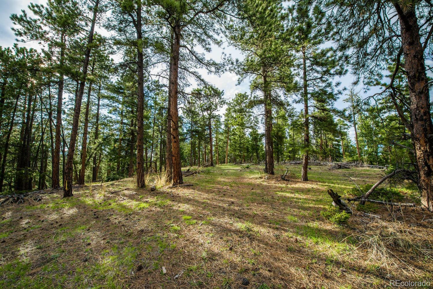 Property Photo:  10250 Highway 73  CO 80433 