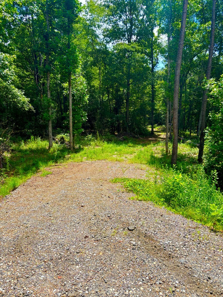 Property Photo:  423 Five Mile Rd.  AL 36027 