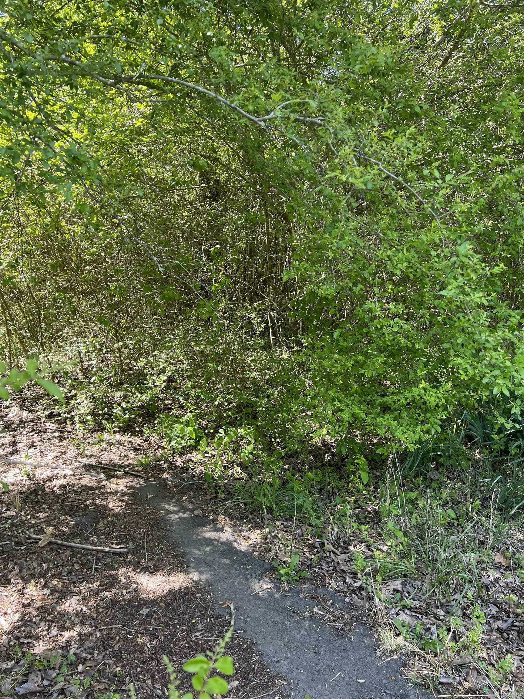 Property Photo:  508 N Center  AR 72543 