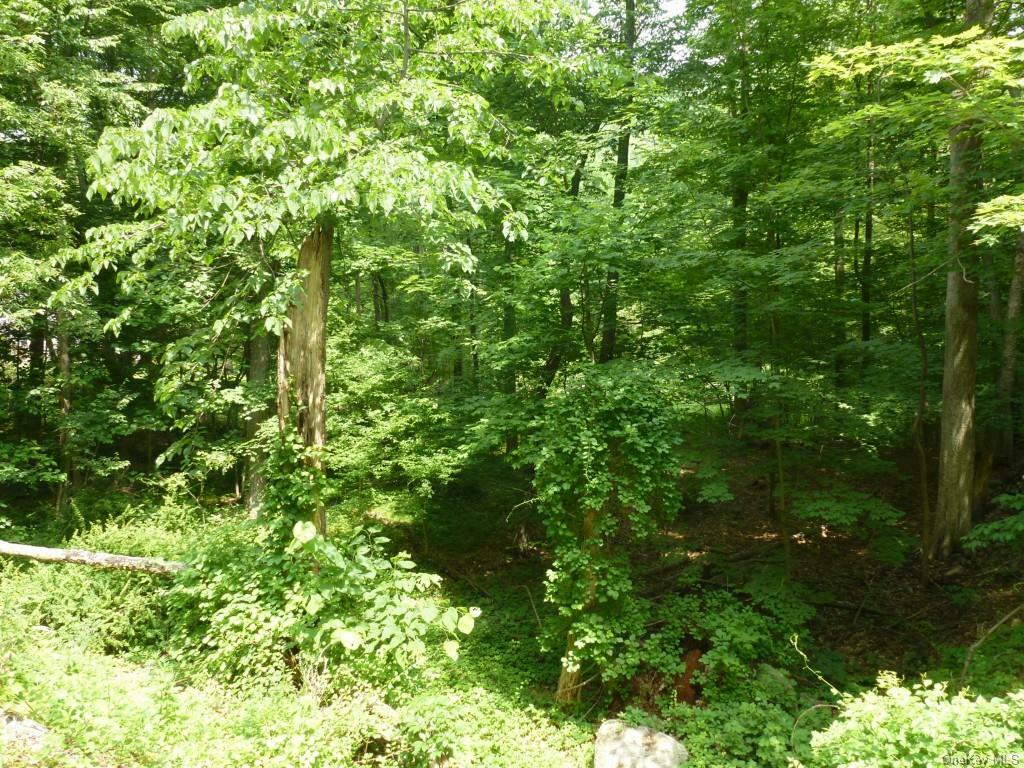 Property Photo:  Church Road  NY 10579 