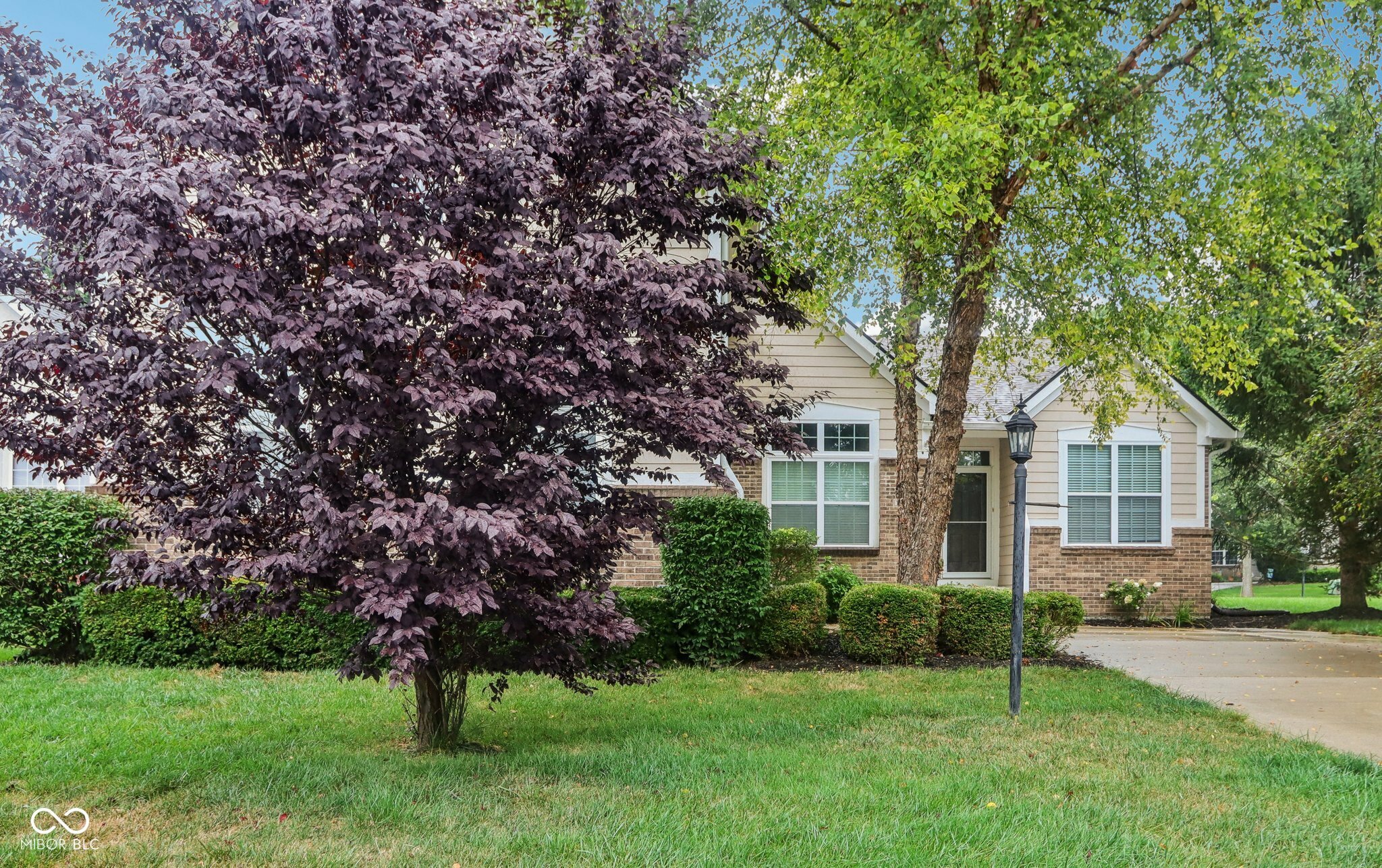 Property Photo:  15098 Newburyport Drive  IN 46040 