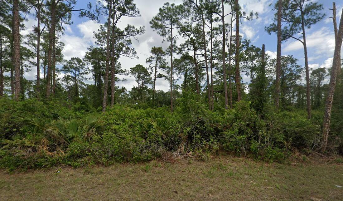 Property Photo:  2018 Canton Avenue  FL 33920 