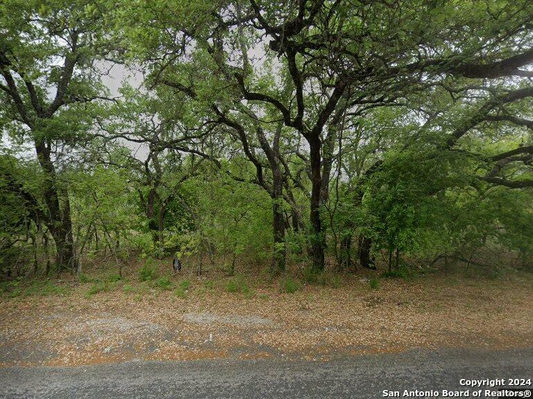 Property Photo:  3008 S Eichman Rd  TX 78065 