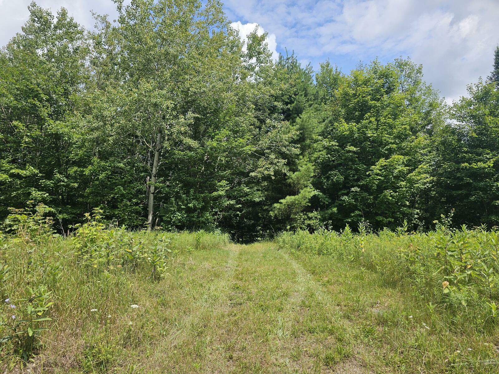 Property Photo:  9908 Sh 3  NY 12973 