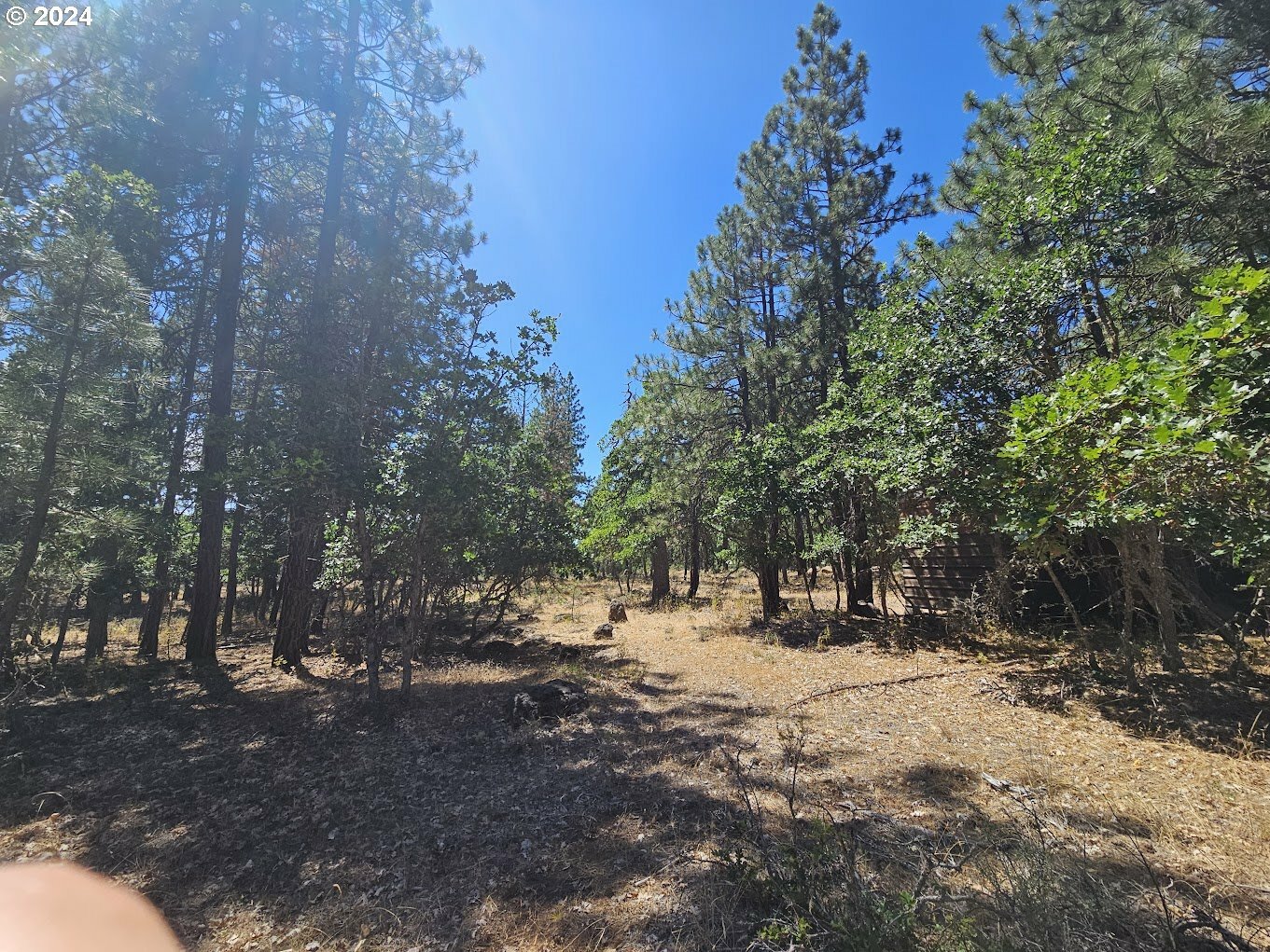 Property Photo:  Tamarack Rd 82  WA 98620 