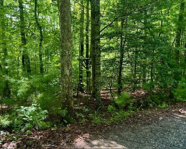 Property Photo: 0 Hillbilly Holler GA 30513