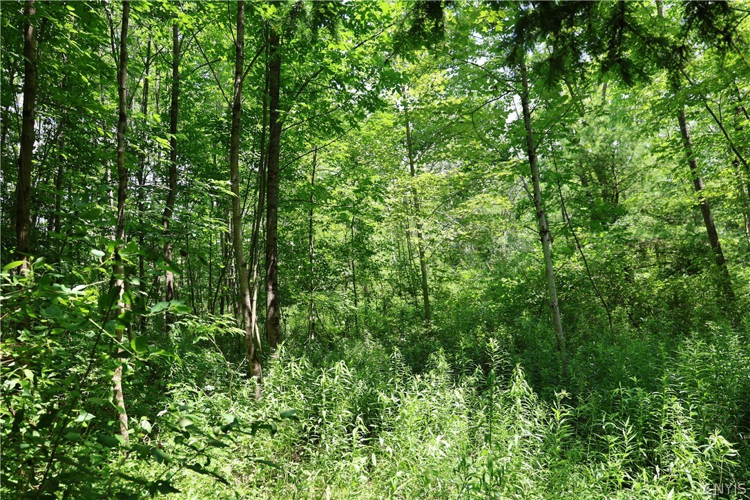 Property Photo:  00 Pine Hill Road  NY 13803 