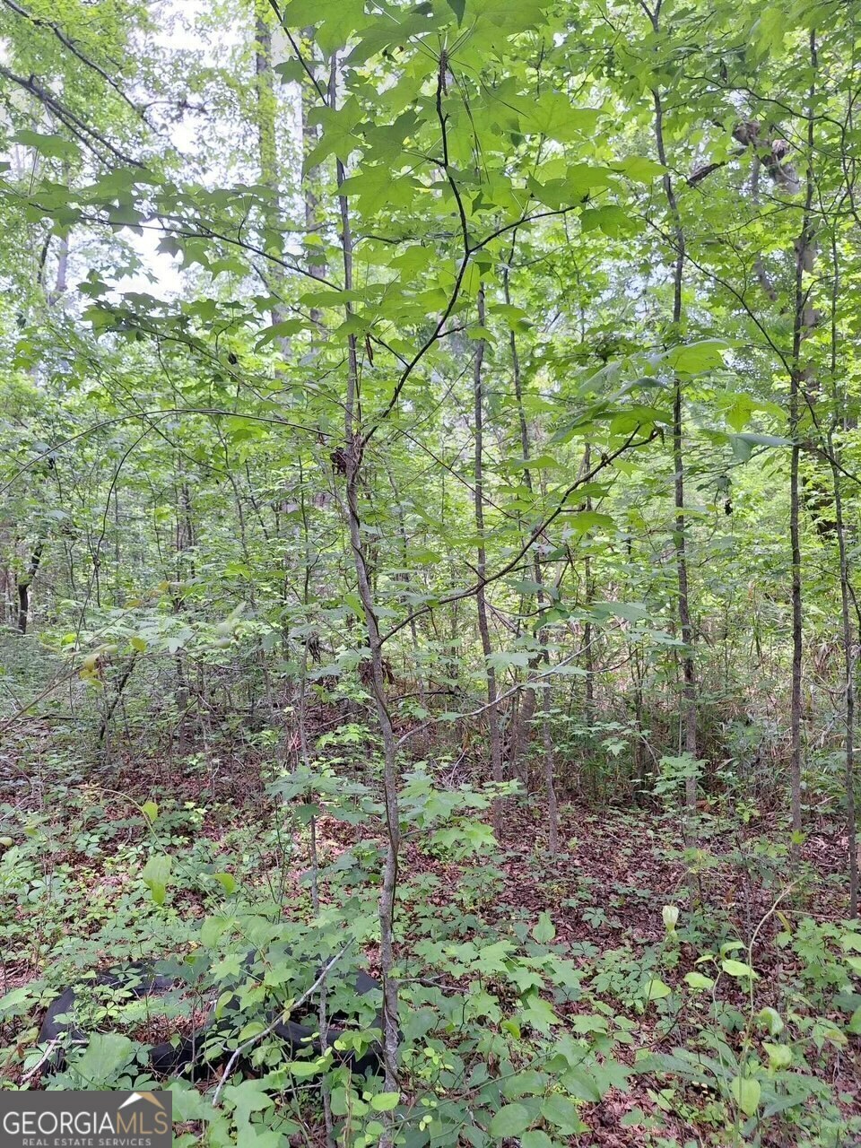 Property Photo:  541 B Ellis Dairy Road  GA 30224 