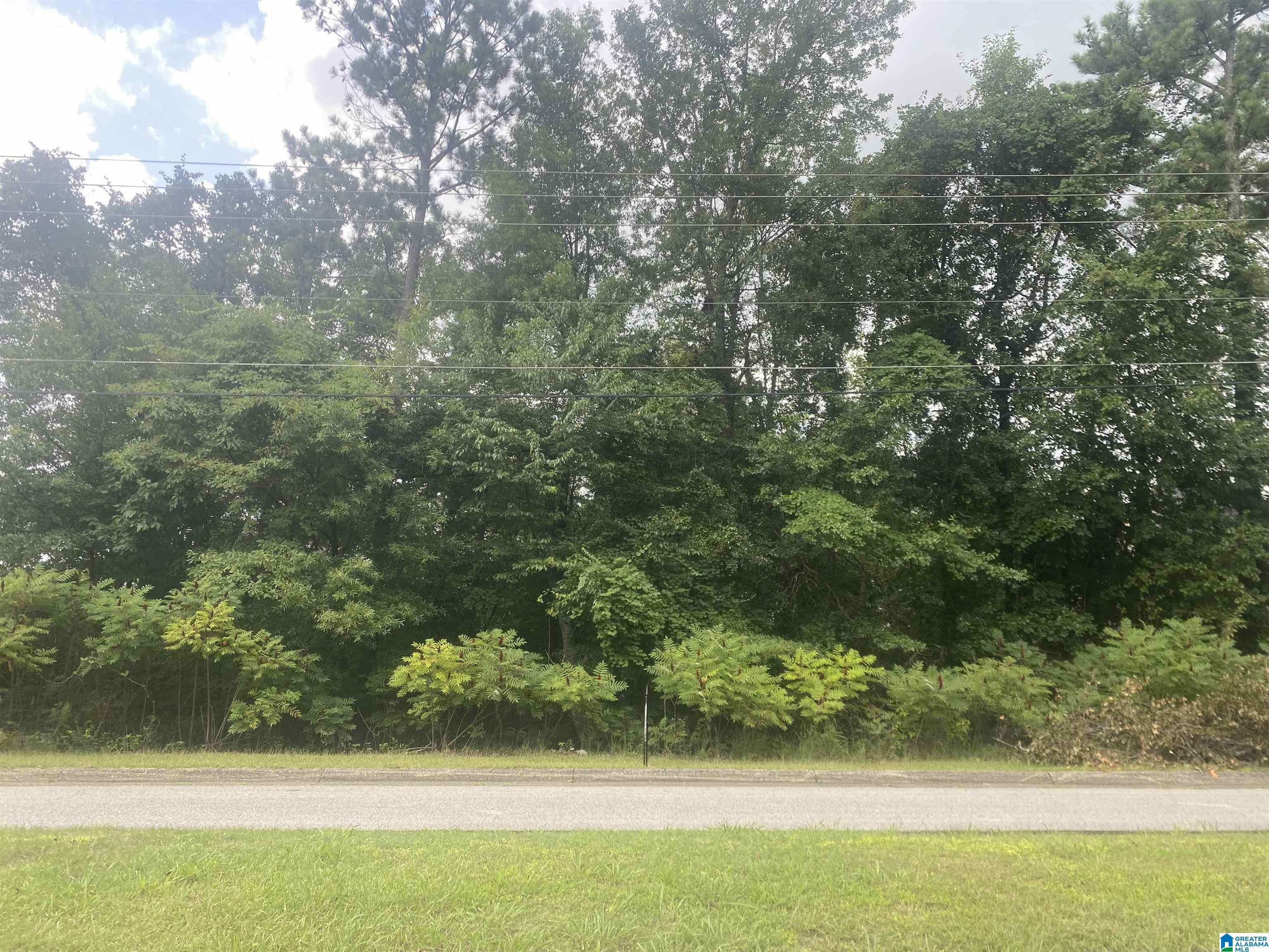 Lot 5 Hillyer High Road 5  Anniston AL 36207 photo