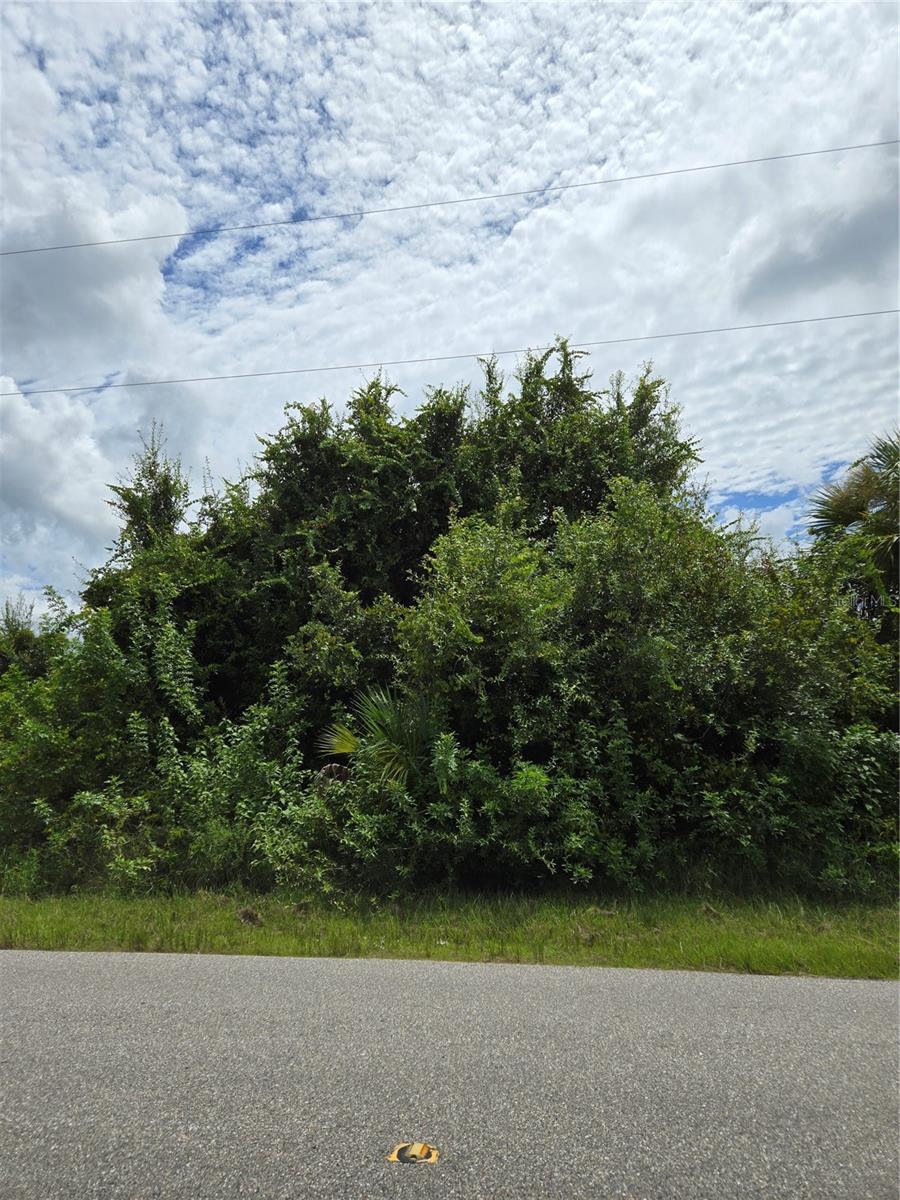 Property Photo: S Torrington Street Lot 5 FL 34288