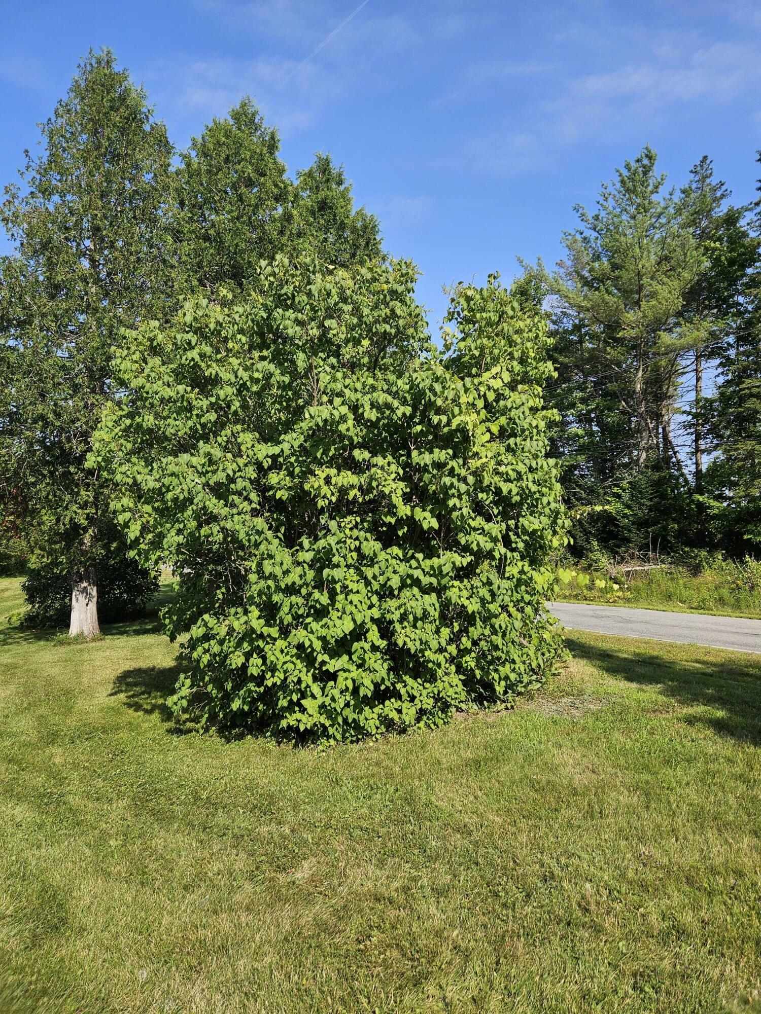 Property Photo:  778 Kennebec Road  ME 04444 