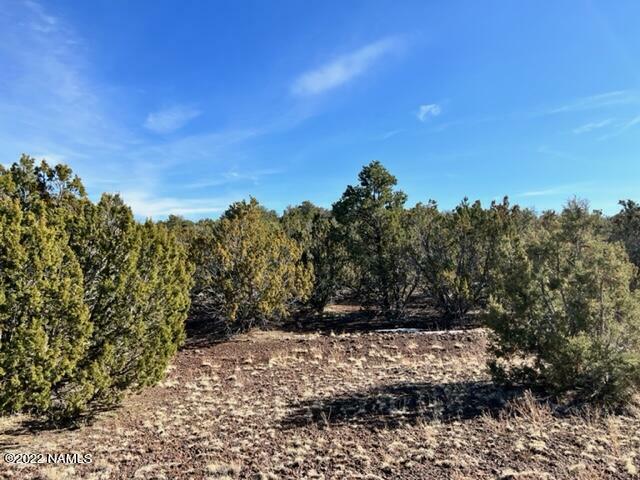 Property Photo:  000 502-31-130B 12 Acres - Mohave Road  AZ 86046 