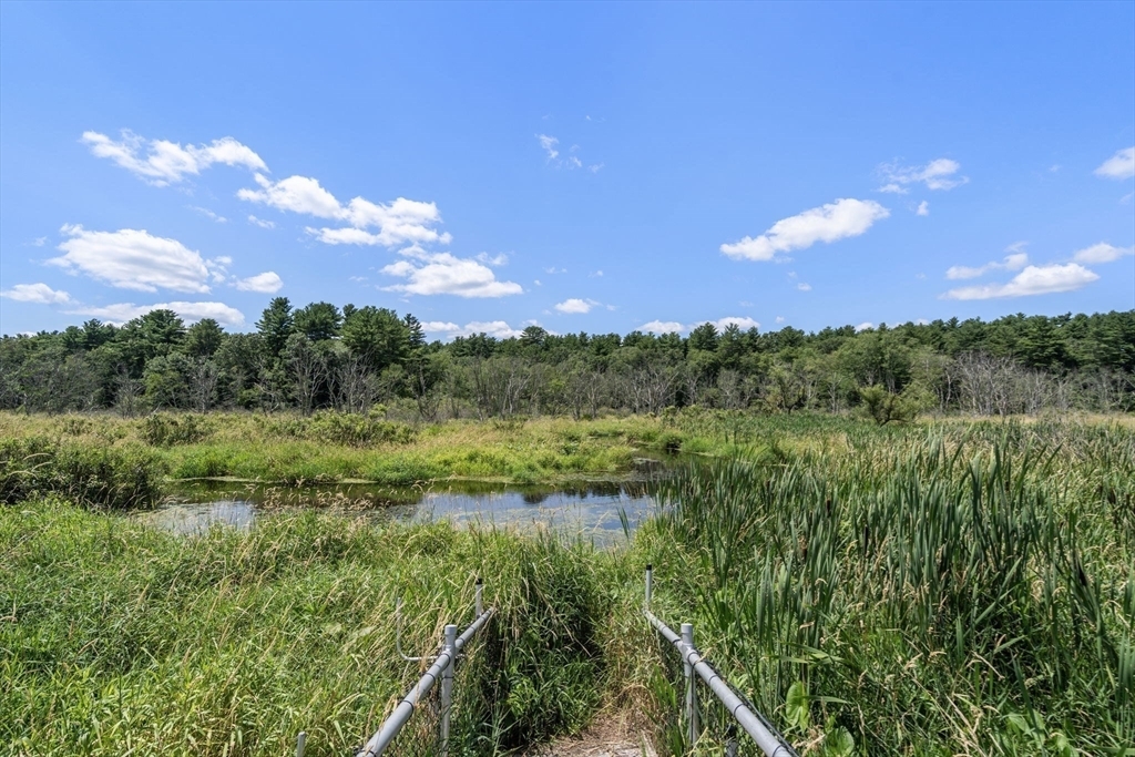 Property Photo:  259 South Street  MA 02052 