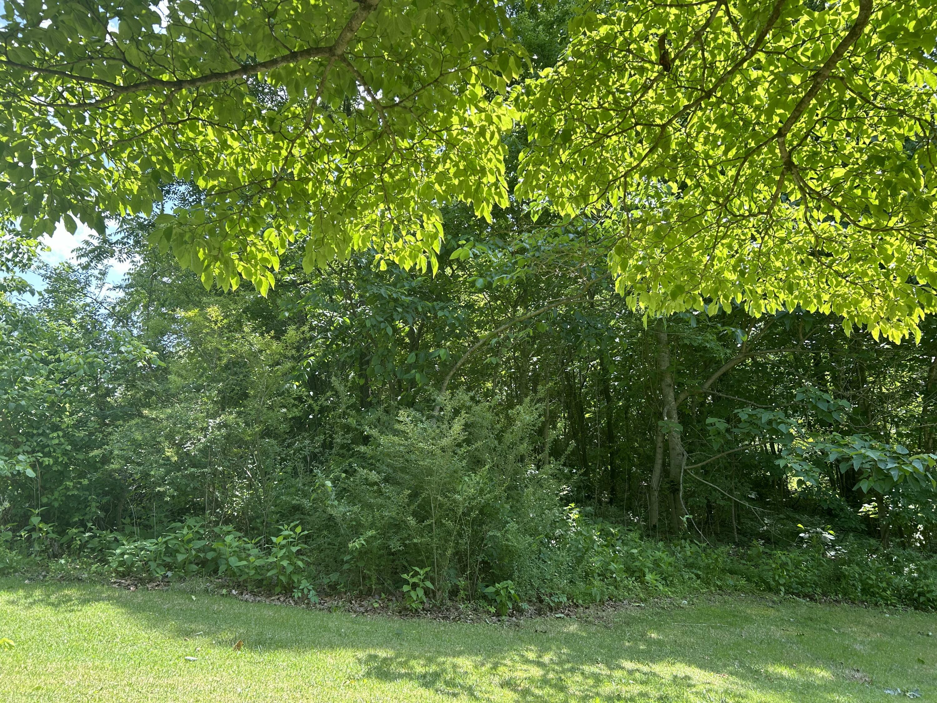 Property Photo:  Lot 6 Congress Parkway N  TN 37303 