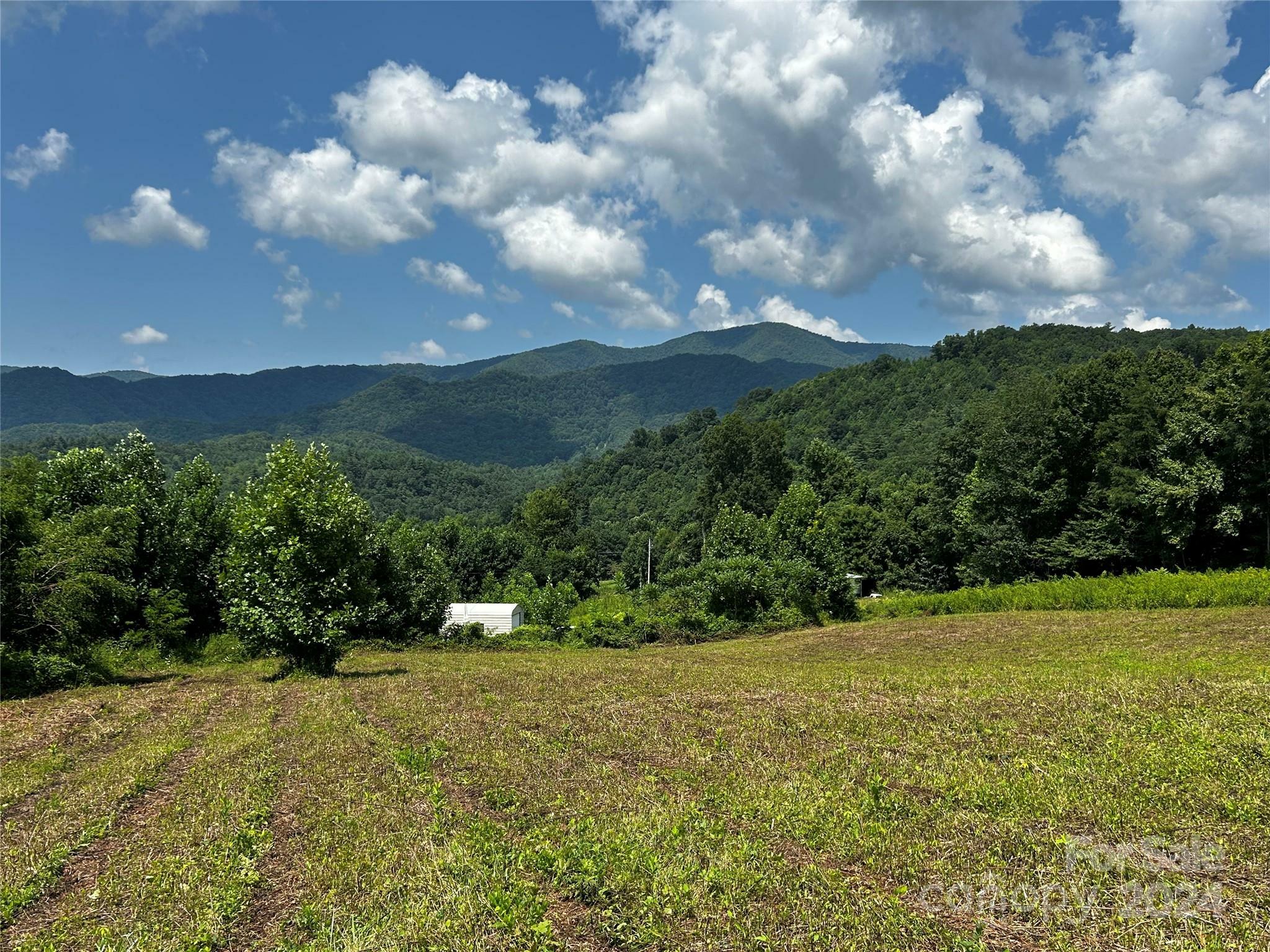 Tbd Sugar Loaf Mountain Road  Marshall NC 28753 photo