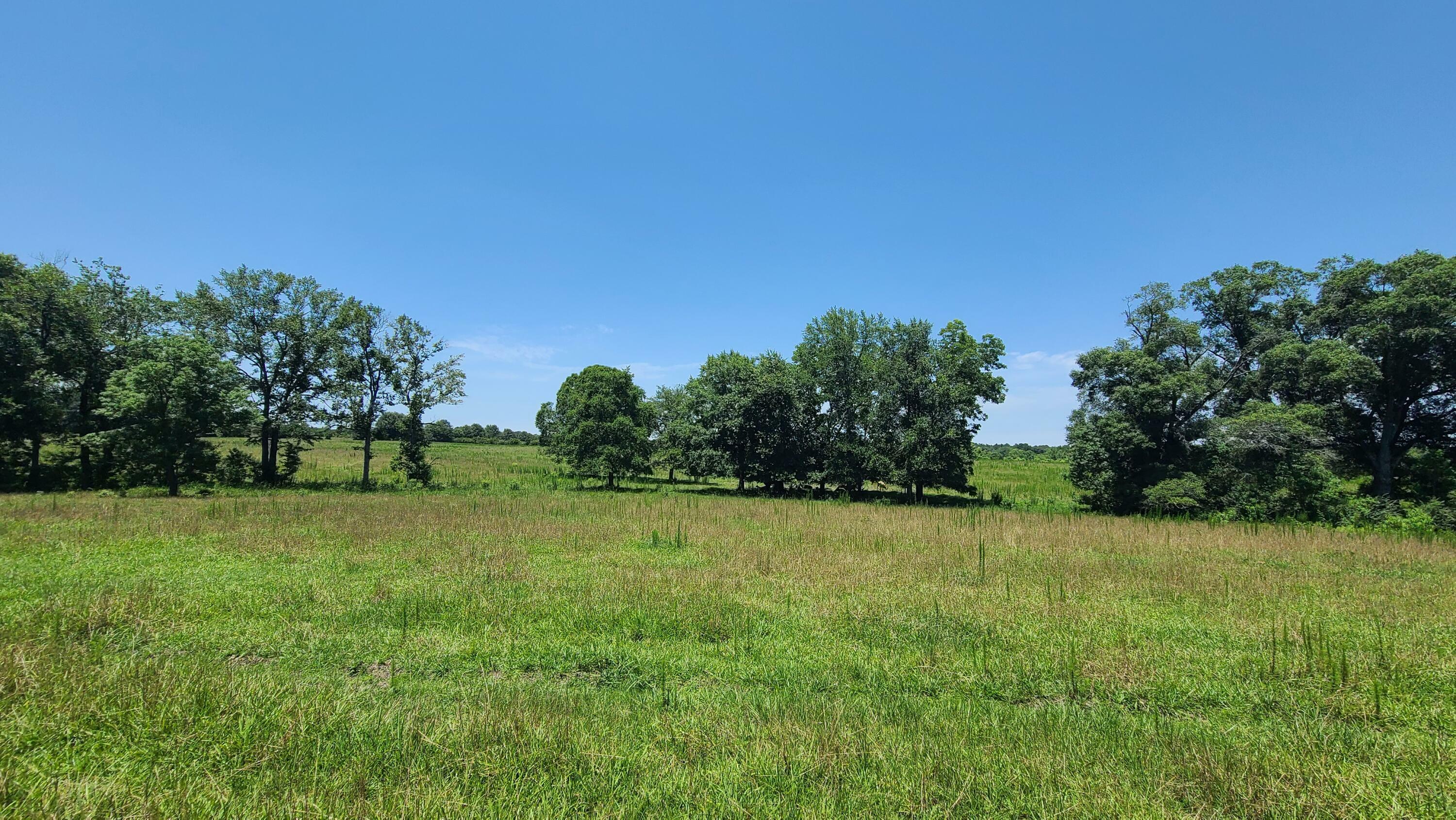 Property Photo:  9797 Hwy 11  MS 39470 