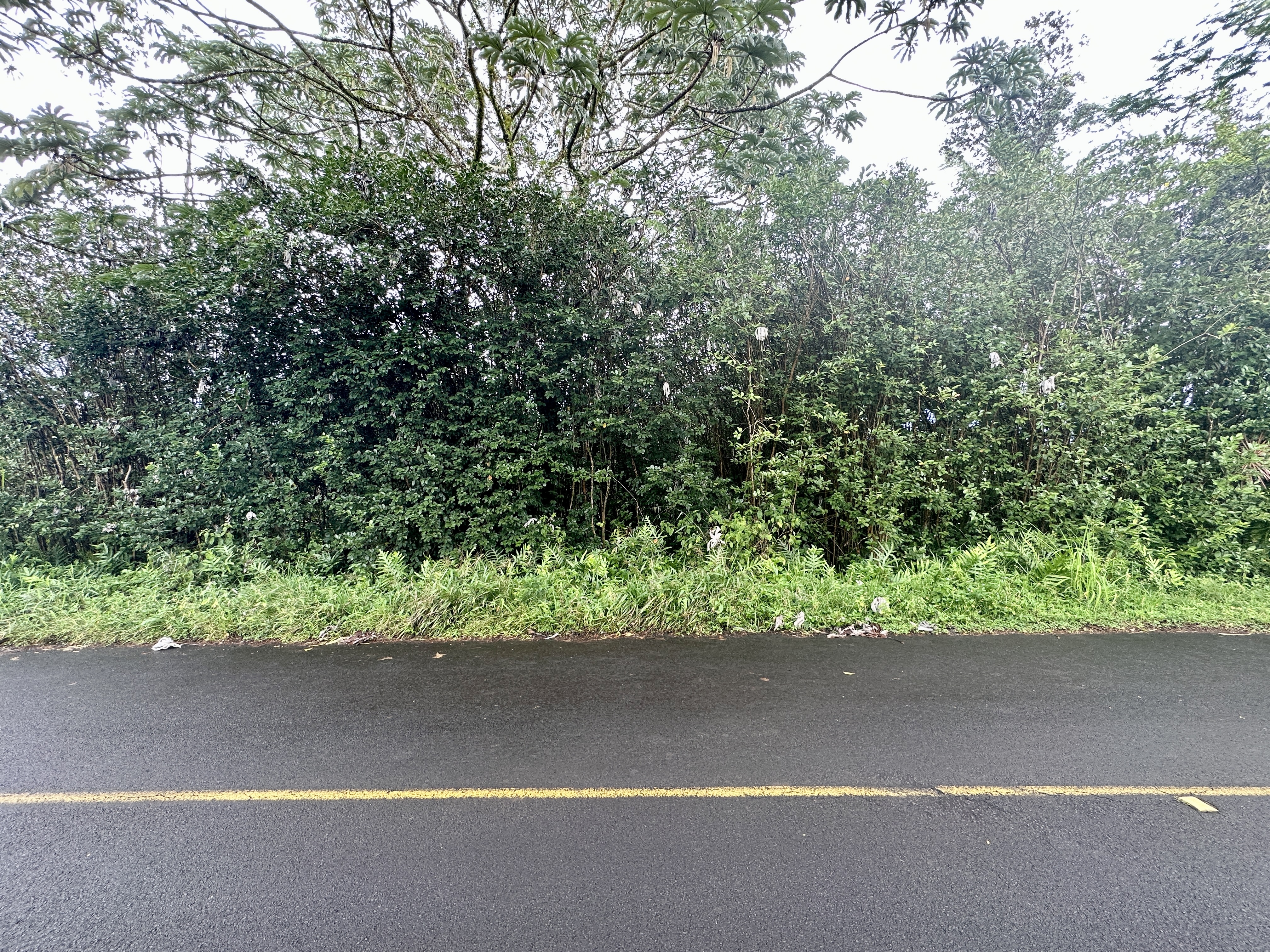 Property Photo:  28th Ave  HI 96749 