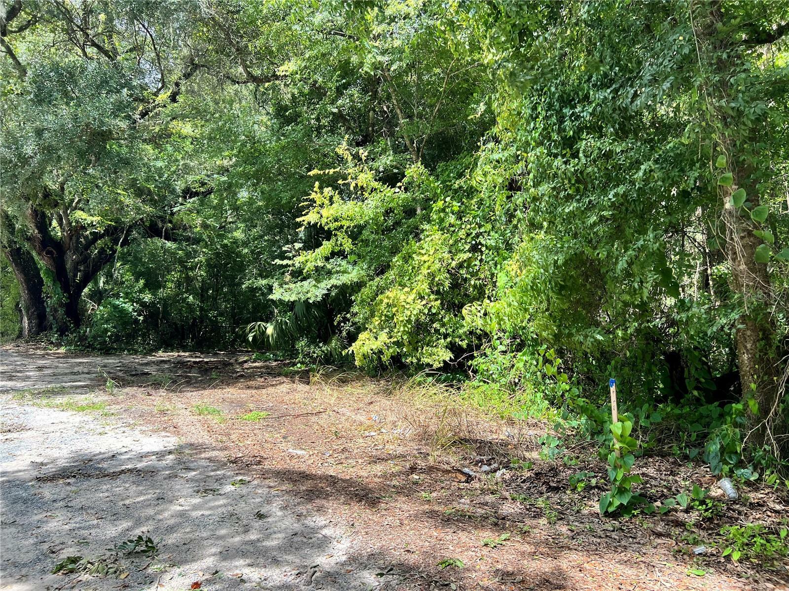 Property Photo:  4929 SW 63rd Boulevard  FL 32608 