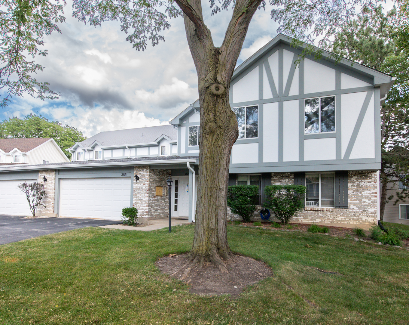 Property Photo:  385 Springlake Lane D  IL 60504 