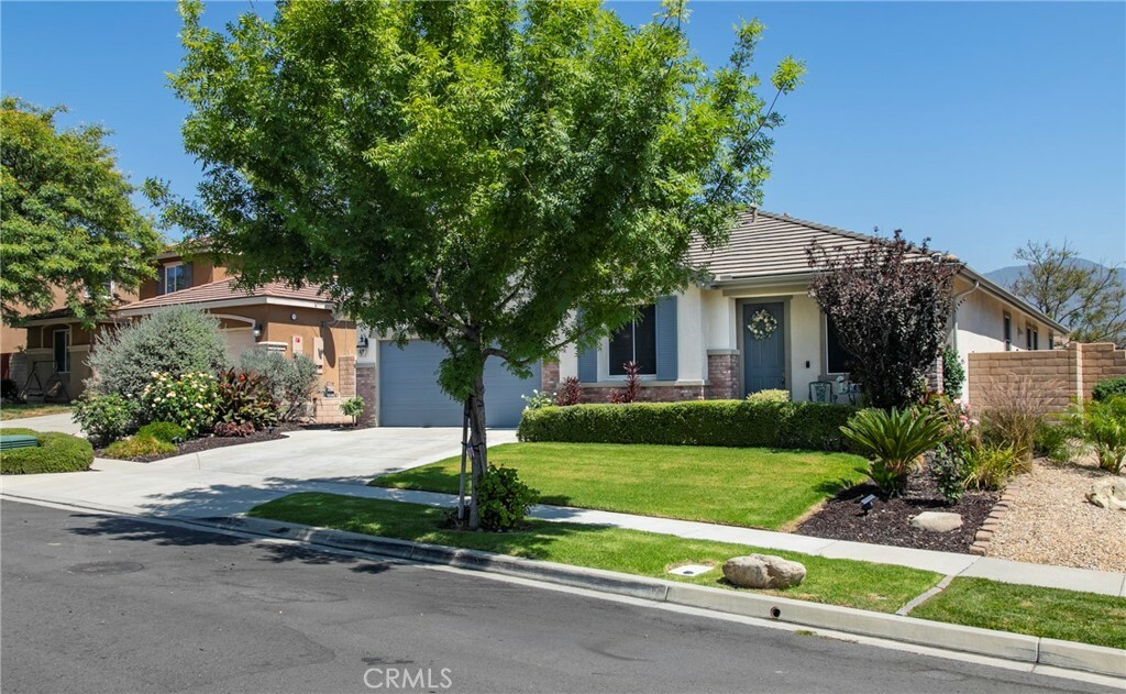 Property Photo:  3758 American Elm Road  CA 92407 